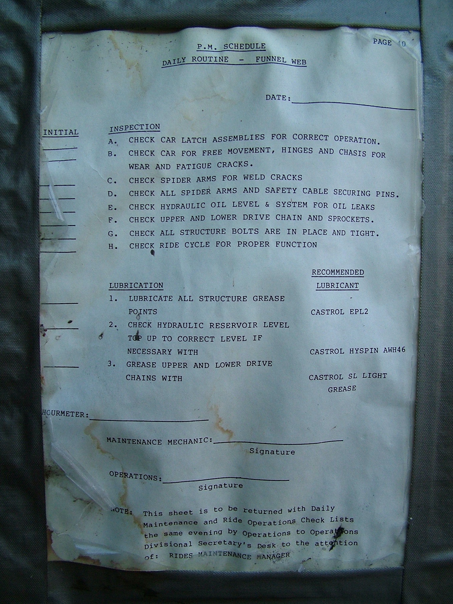 The Funnel Web Daily Routine