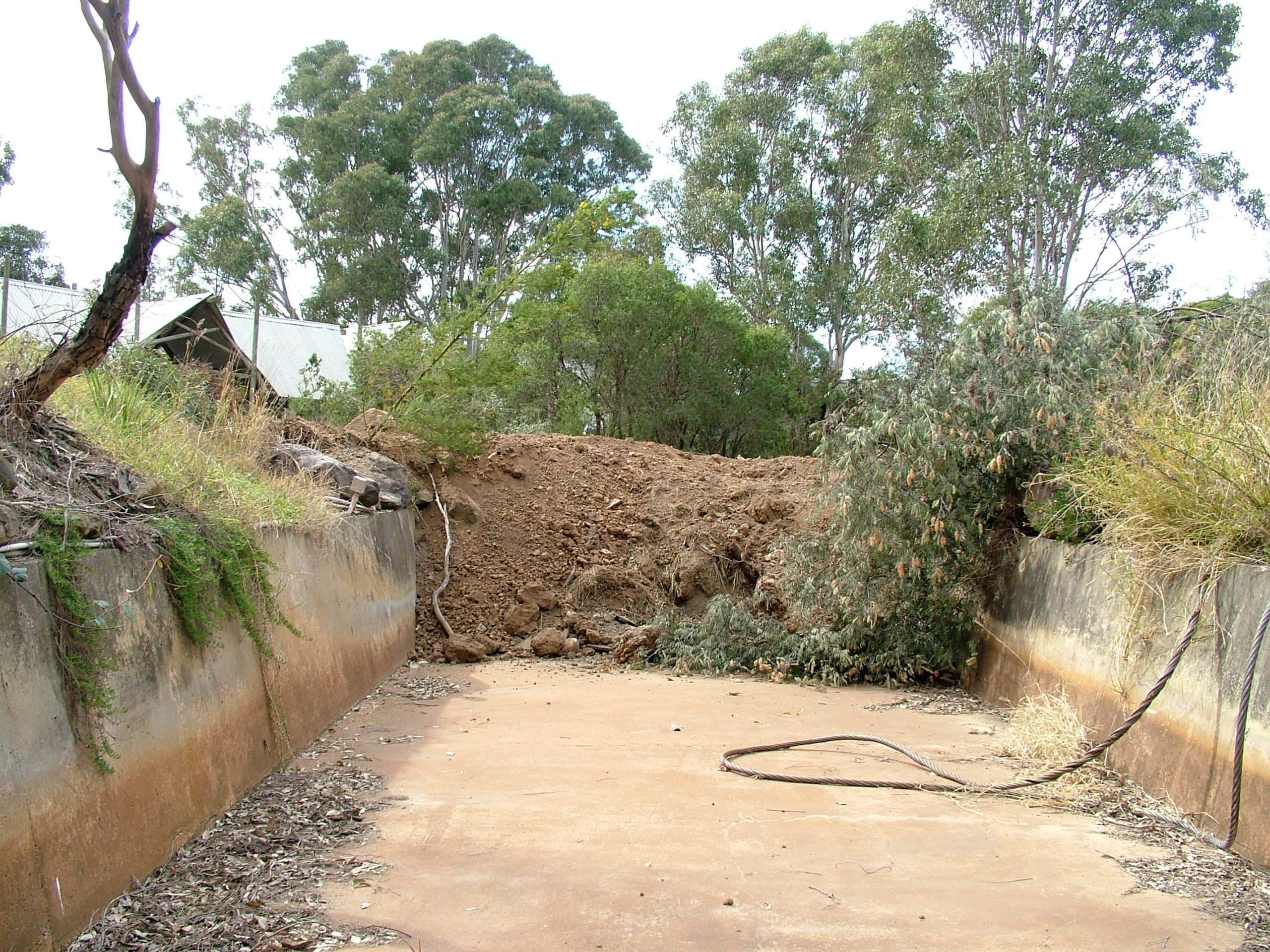 Bush Beast Demolition (16)