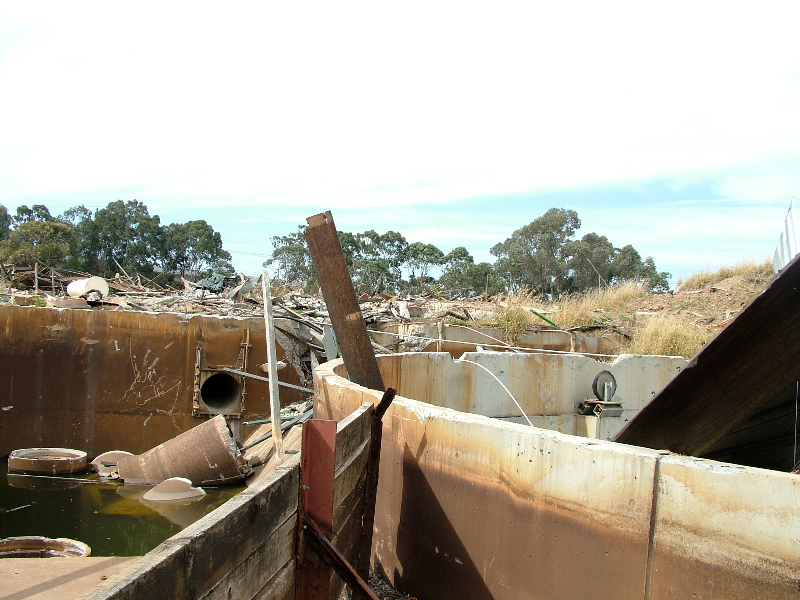 Bush Beast Demolition (7)