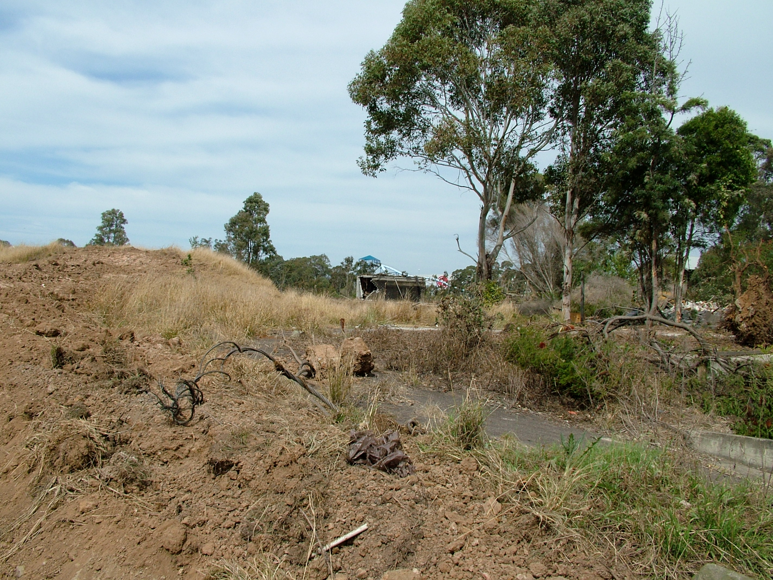 Bush Beast Demolition (3)