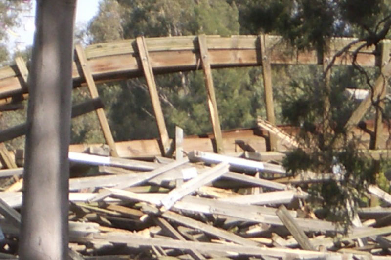 Bush Beast Demolition (24)