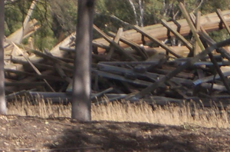 Bush Beast Demolition (23)