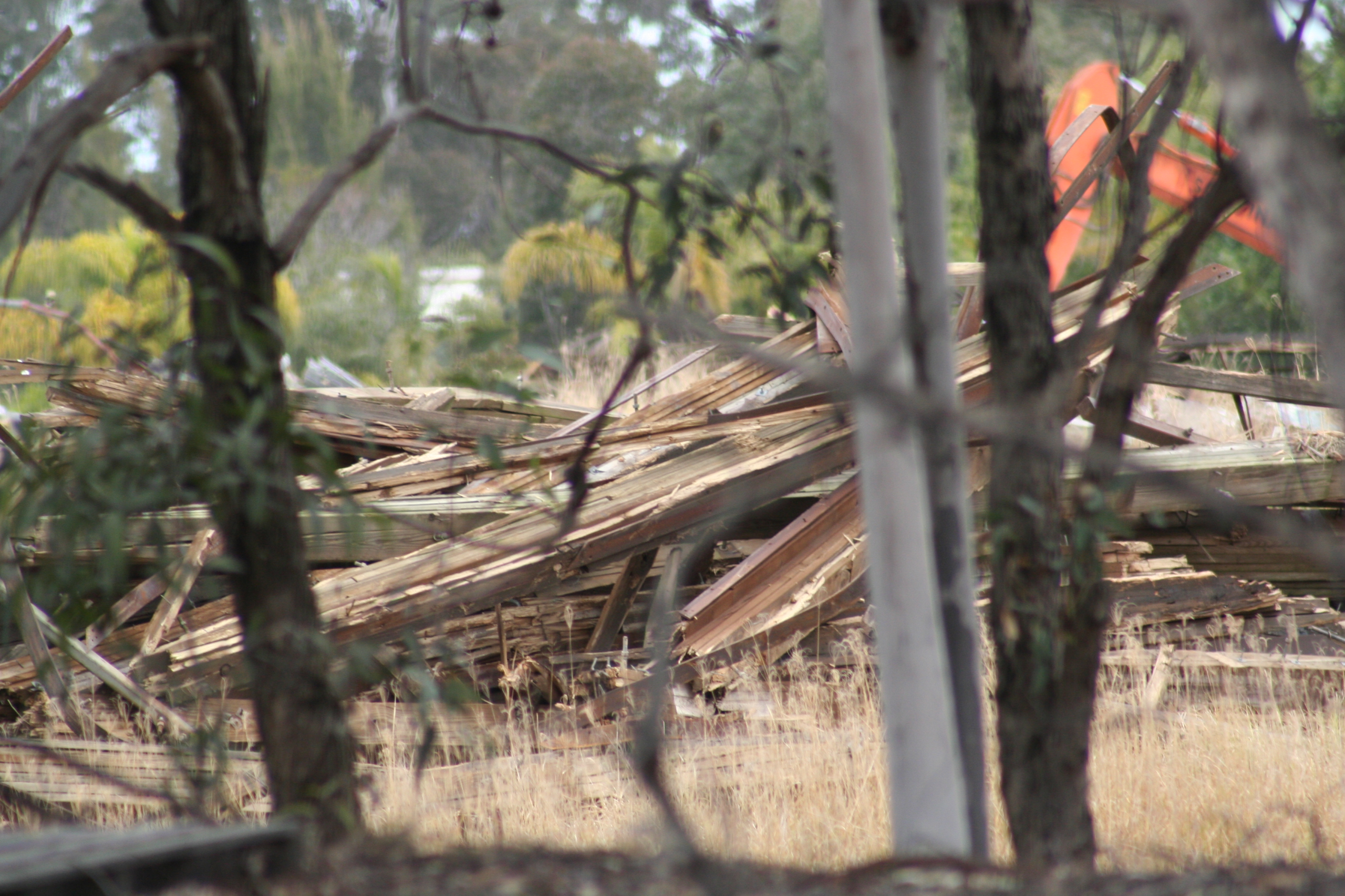 Bush Beast Demolition (22)